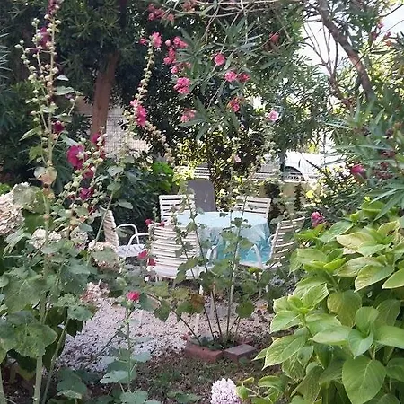 Apartamento Sabina *